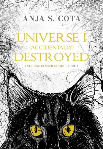 grbookcovers-cover-72-universe-i-accidentally-destroyed